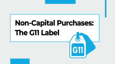 Non-Capital Purchases The G11 Label